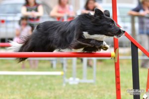 Agility