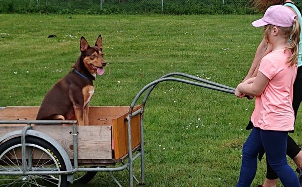 Mobility - Société cynologique du Val-de-Travers