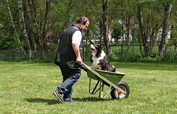 Mobility - Société cynologique du Val-de-Travers