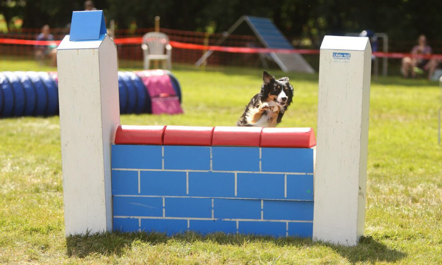 20200823_FYN_005_Agility Couvet