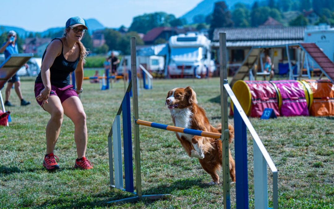 Concours Agility 25