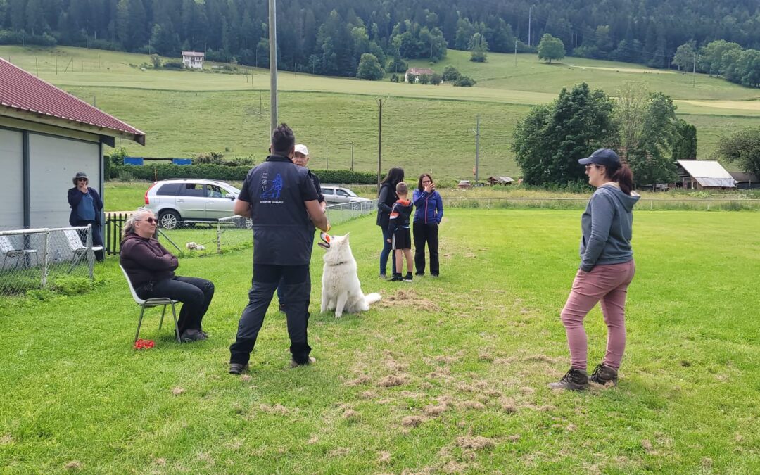 Cours obéissance Carmelo Faliti