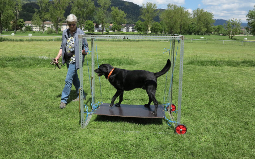 Journée Mobility 2025