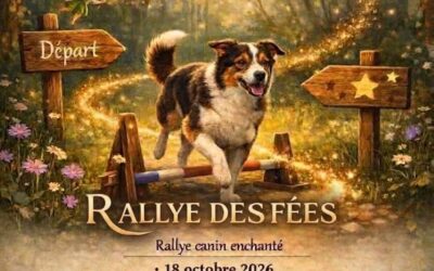 Rallye des Fées